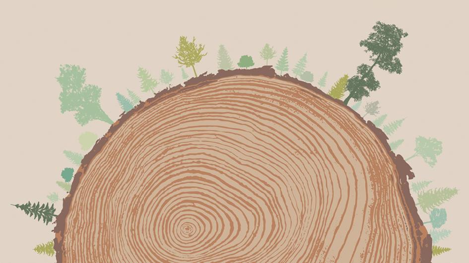 El clamor de los bosques, de Richard Powers El-clamor-de-los-bosuqes-noticia-premio-pulitzer-2019
