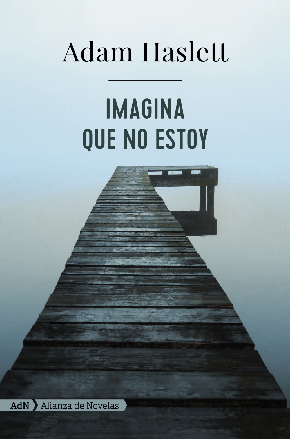 Imagina que no estoy  - Adam  Haslett 