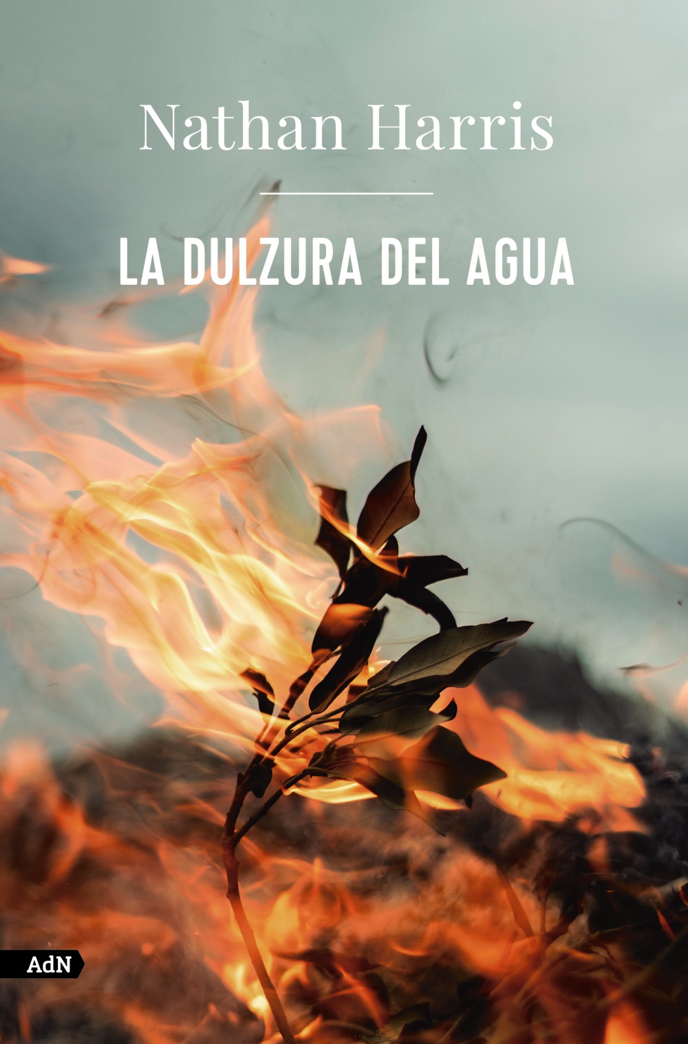 La dulzura del agua -   