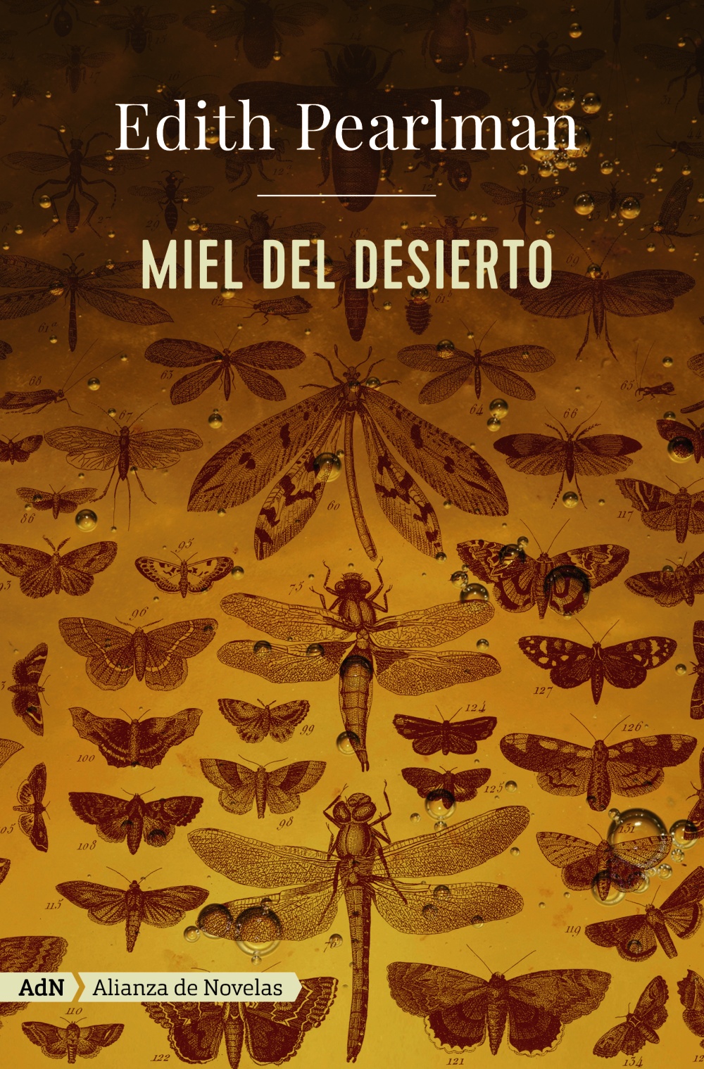 Miel del desierto -   