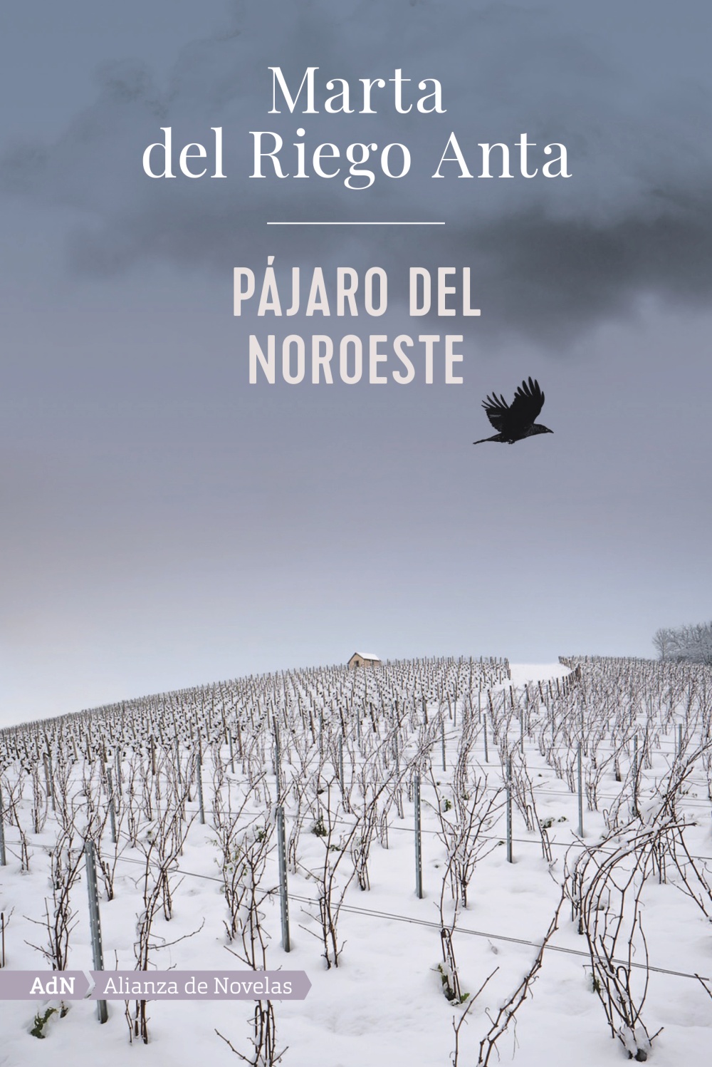 Pájaro del Noroeste