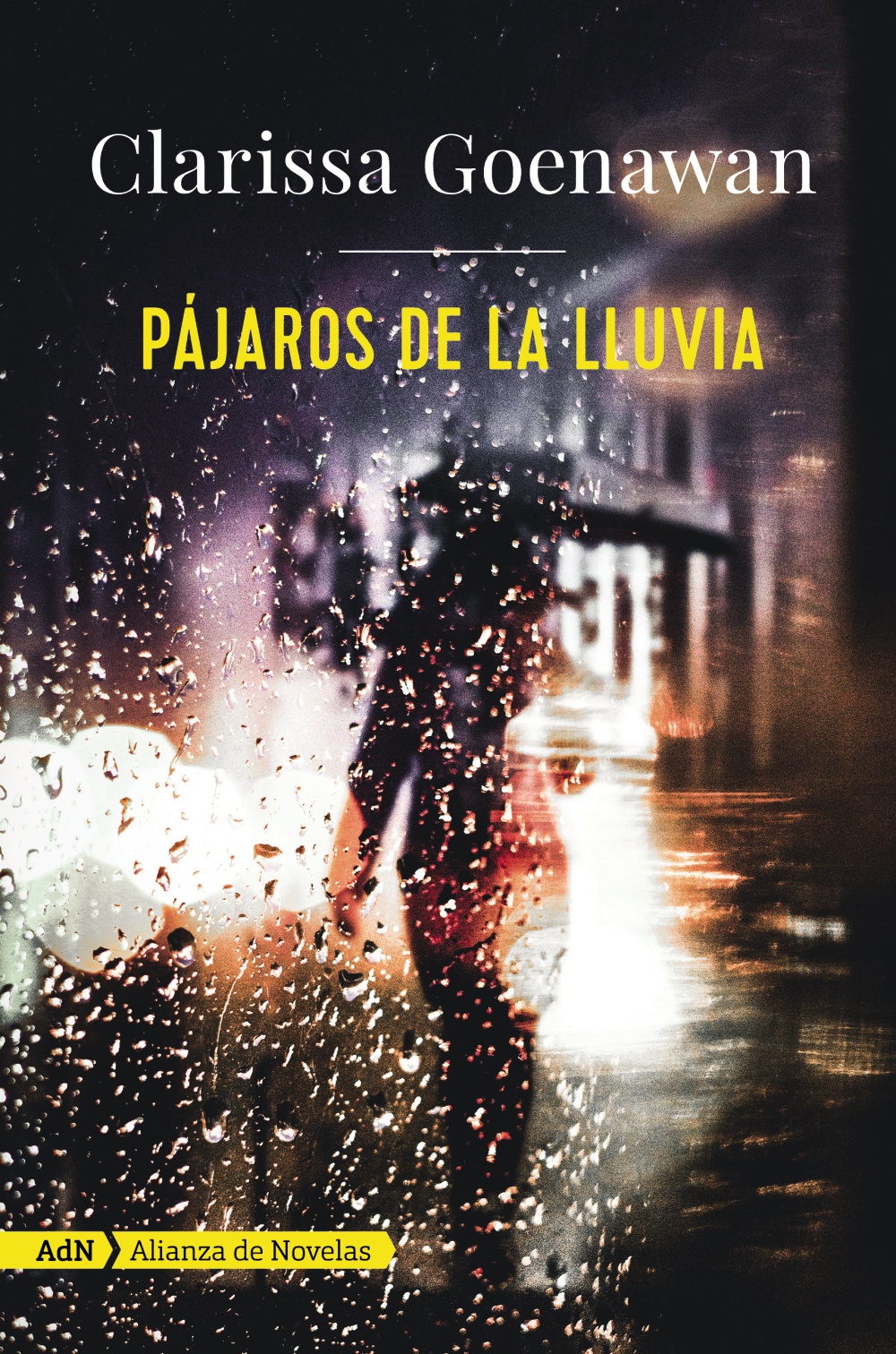 Pájaros de la lluvia - Clarissa  Goenawan 