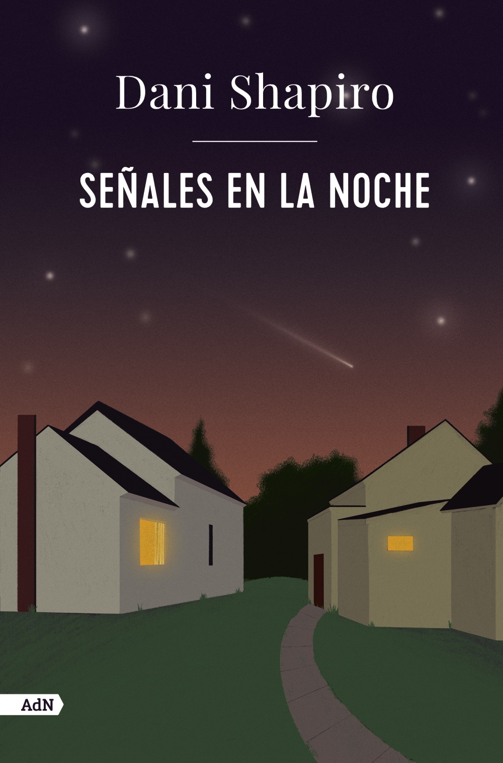 Señales en la noche -   