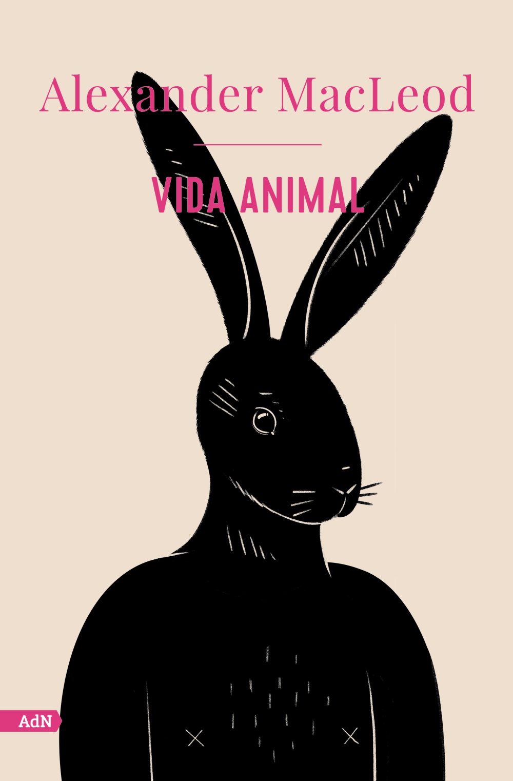 Vida animal -   