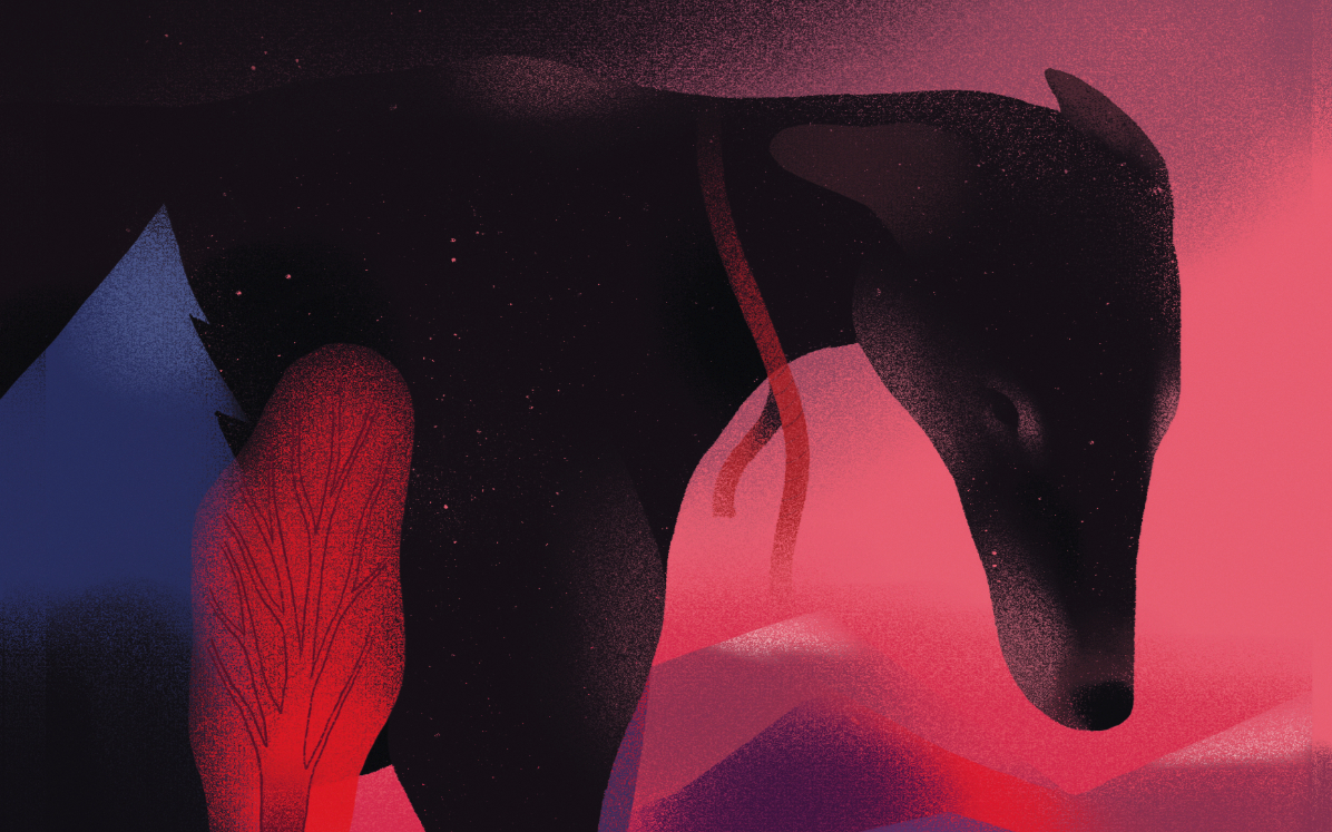 Huracán - Una metáfora sobre la libertad, la violencia y la dignidad.